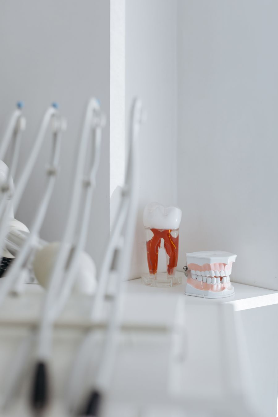 Modelo de dente e instrumentos odontológicos, imagem ilustrativa